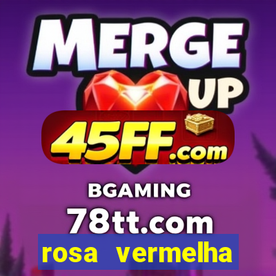 rosa vermelha (letra e cifra)